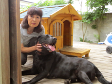 �y�b�g�V�b�^�[�Љ�