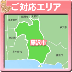 �y�b�g�V�b�^�[���Ή��G���A