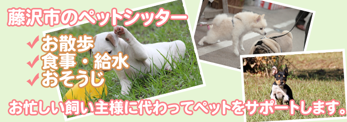 ����s�̃y�b�g�V�b�^�[